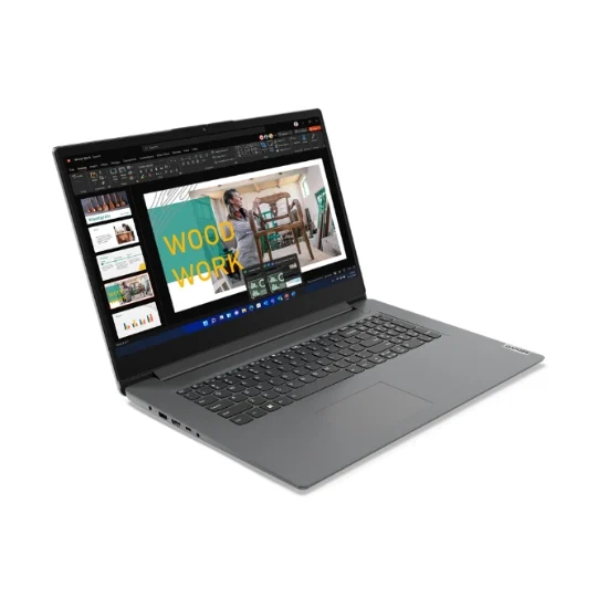 Vue 2 Lenovo V17 — 17,3″ — portable familial